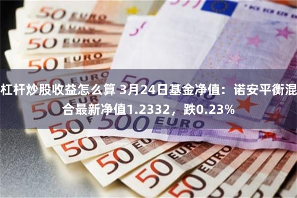 杠杆炒股收益怎么算 3月24日基金净值：诺安平衡混合最新净值1.2332，跌0.23%