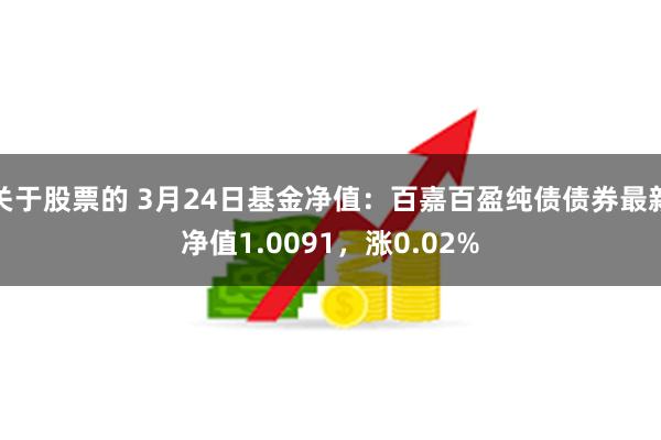 关于股票的 3月24日基金净值：百嘉百盈纯债债券最新净值1.0091，涨0.02%