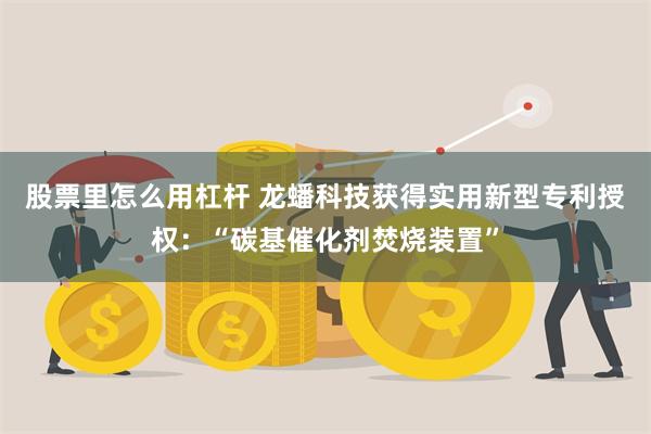 股票里怎么用杠杆 龙蟠科技获得实用新型专利授权：“碳基催化剂焚烧装置”
