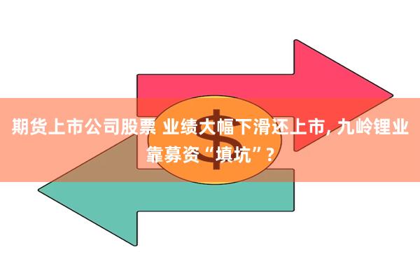期货上市公司股票 业绩大幅下滑还上市, 九岭锂业靠募资“填坑”?