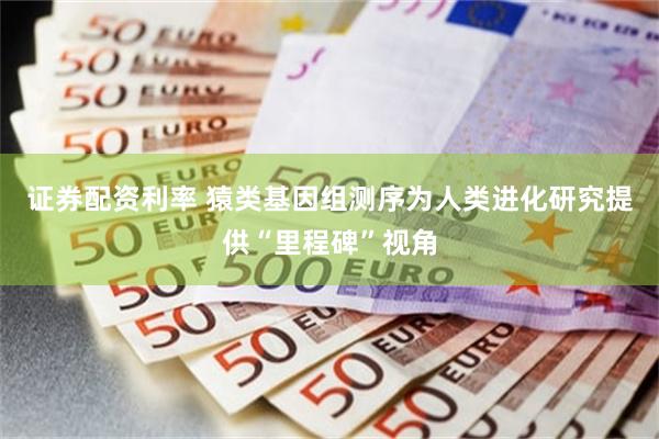 证券配资利率 猿类基因组测序为人类进化研究提供“里程碑”视角