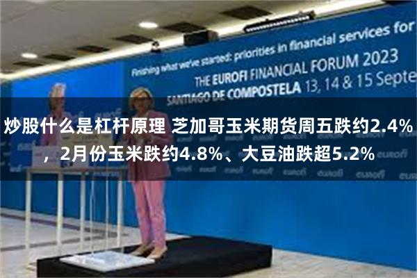 炒股什么是杠杆原理 芝加哥玉米期货周五跌约2.4%，2月份玉米跌约4.8%、大豆油跌超5.2%