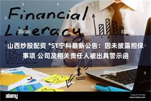 山西炒股配资 *ST宁科最新公告：因未披露担保事项 公司及相关责任人被出具警示函