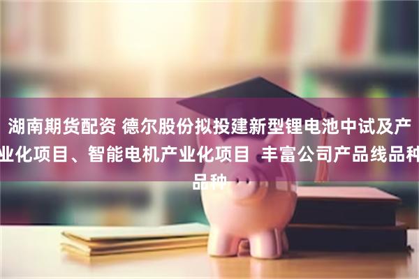 湖南期货配资 德尔股份拟投建新型锂电池中试及产业化项目、智能电机产业化项目  丰富公司产品线品种