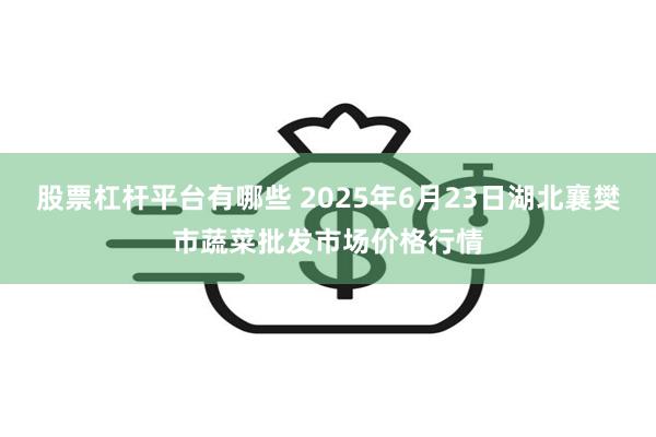 股票杠杆平台有哪些 2025年6月23日湖北襄樊市蔬菜批发市场价格行情