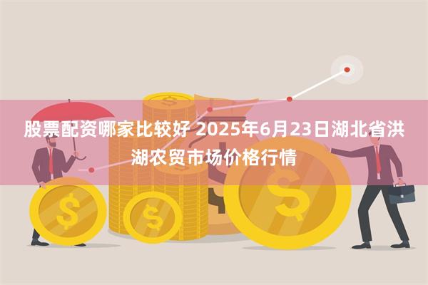 股票配资哪家比较好 2025年6月23日湖北省洪湖农贸市场价格行情