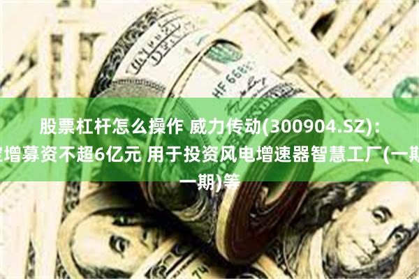 股票杠杆怎么操作 威力传动(300904.SZ)：拟定增募资不超6亿元 用于投资风电增速器智慧工厂(一期)等