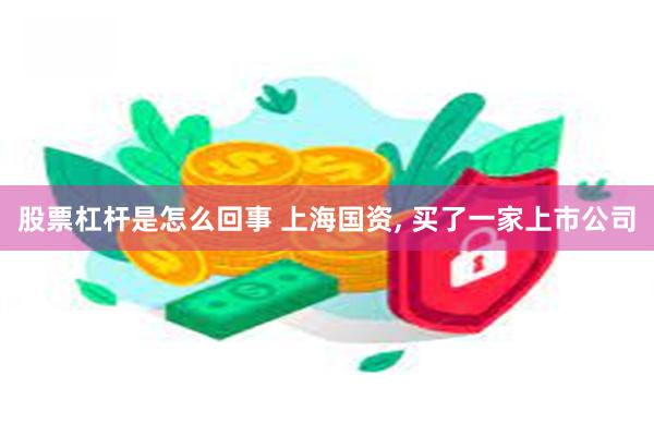 股票杠杆是怎么回事 上海国资, 买了一家上市公司