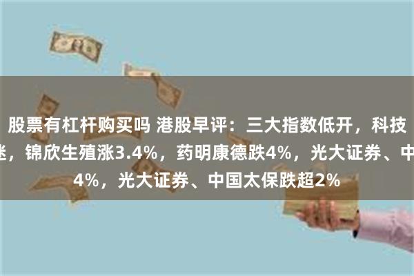 股票有杠杆购买吗 港股早评：三大指数低开，科技股、金融股低迷，锦欣生殖涨3.4%，药明康德跌4%，光大证券、中国太保跌超2%
