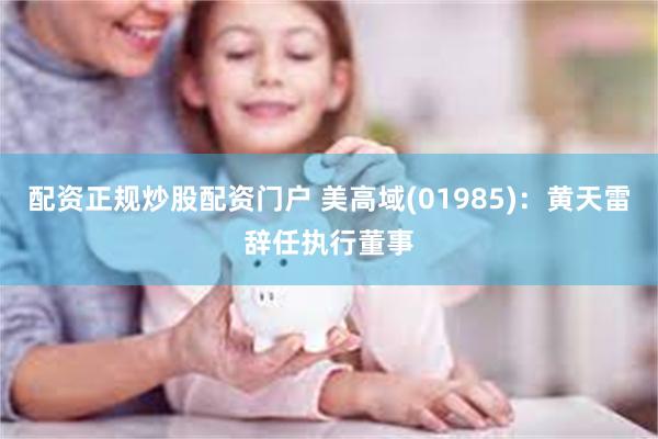 配资正规炒股配资门户 美高域(01985)：黄天雷辞任执行董事