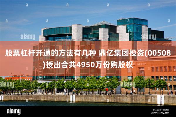 股票杠杆开通的方法有几种 鼎亿集团投资(00508)授出合共4950万份购股权