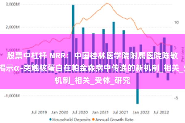 股票中杠杆 NRR：中国桂林医学院附属医院陈敏教授团队揭示α-突触核蛋白在帕金森病中传递的新机制_相关_受体_研究