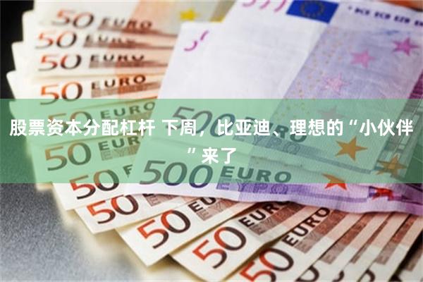 股票资本分配杠杆 下周，比亚迪、理想的“小伙伴”来了